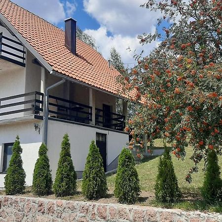 Вилла Kuca Sa Pogledom Na Tornik Златибор Экстерьер фото